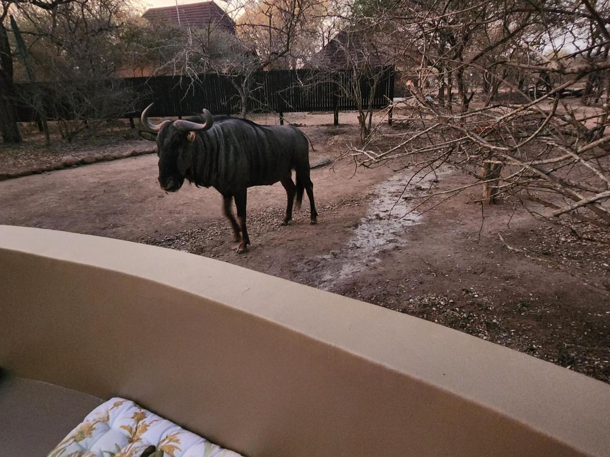 Kudus Crest Bush Retreat Apartment Marloth Park Exterior foto
