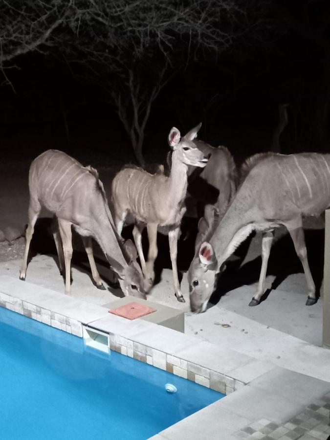 Kudus Crest Bush Retreat Apartment Marloth Park Exterior foto